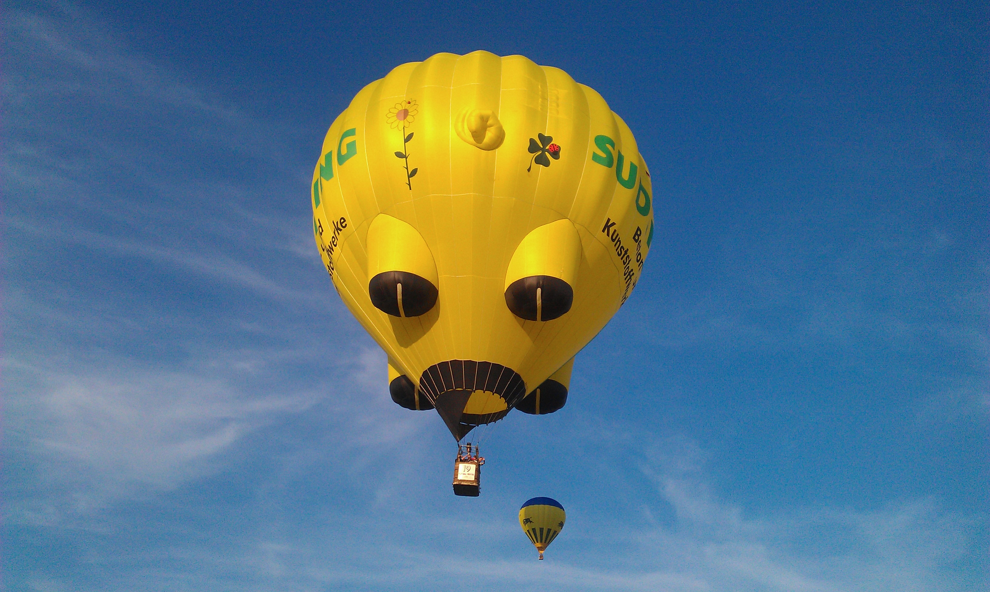 hot-air-balloon-244794